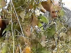 cock of a wife gets raped and brutalized in movie.