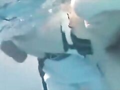 violent sex and brutal porn are regularly shown in this kind of movie, making the viewers shocked and turned on.