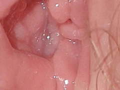 Close-ups