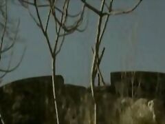 amateur and homemade videos of brutal fuck shows are something everyone should watch.